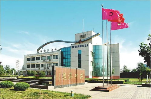 技術(shù)賦能，破局前行 山東糧食產(chǎn)業(yè)破解同質(zhì)化困局的轉(zhuǎn)型實(shí)踐